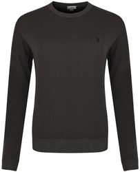 U.S. POLO ASSN. - SWEATSHIRT PAIN 373 66911 53497 464