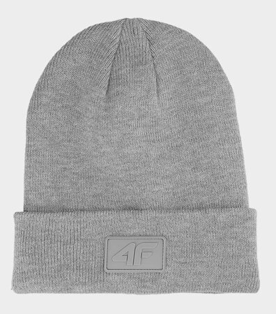 4F - BEANIE 4FAW23ACAPU319-23S