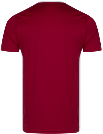 T-shirt ADIDAS CF1038 ENTRADA 18 JSY