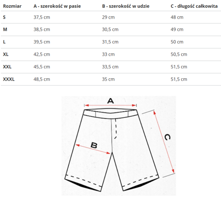 U.S. POLO ASSN. - SHORTS MATY 131 65319 52319 199