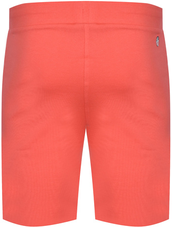 U.S. POLO ASSN. - SHORTS HARL 131 65320 52319 325