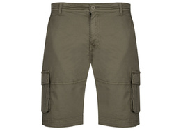 U.S. POLO ASSN. - SHORTS SEAR 143 66361 53065 446