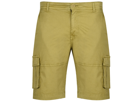 U.S. POLO ASSN. - SHORTS SEAR 143 66361 53065 461