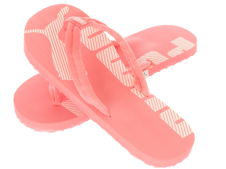 PUMA - EPIC FLIP v2 360248-41