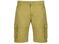 U.S. POLO ASSN. - SHORTS SEAR 143 66361 53065 461