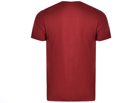 U.S. POLO ASSN. Men v-neck T-Shirt burgundy