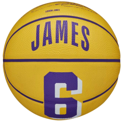 WILSON - NBA PLAYER ICON LEBRON JAMES MINI BALL WZ4007201XB