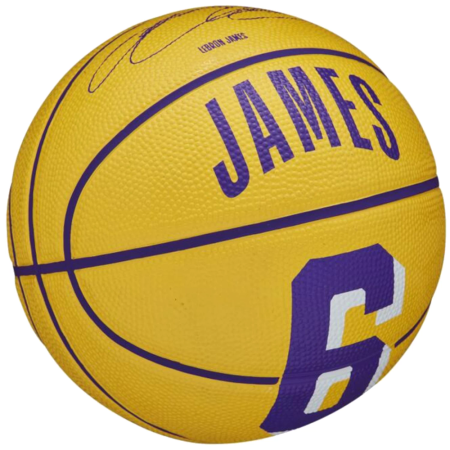 WILSON - NBA PLAYER ICON LEBRON JAMES MINI BALL WZ4007201XB