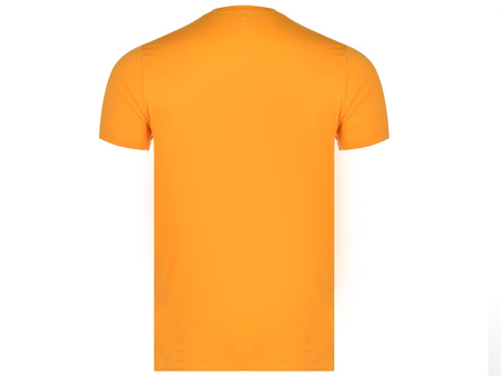 U.S. POLO ASSN. - POLO T-SHIRT NATI 154 66894 49351 216