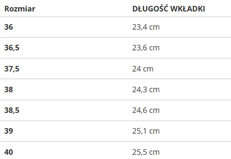 AIR JORDAN - AIR JORDAN 1 LOW SS (GS) HJ9955-100