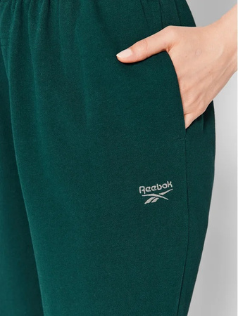 REEBOK - TROUSERS CL AE ARCHIVE FIT PANT HH9745