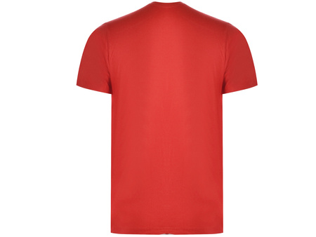 U.S. POLO ASSN. - POLO T-SHIRT NATI 154 66894 49351 352