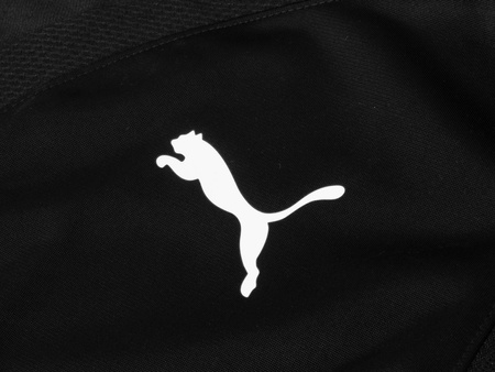 PUMA- TEAMLIGA 1/4 ZIP TOP JR 657237-03