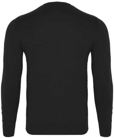 U.S. POLO ASSN. - SWEATER BURT 173 67923 53241 199