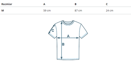 REEBOK - CL AE TEE DRESS IC8098