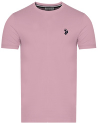 U.S. POLO ASSN. - MEN'S T-SHIRT BREN 154 67532 43472 105