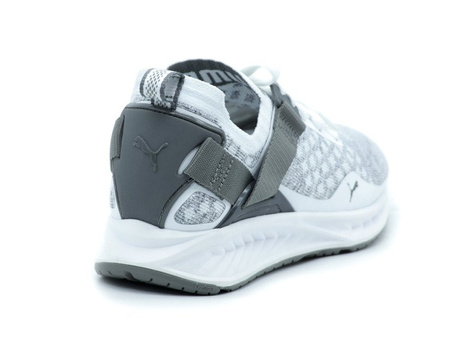 BEST PRICE! PUMA IGNITE EVOKNIT LO (189904-05)