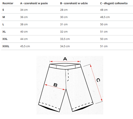 U.S. POLO ASSN. - SHORTS HARL 131 65320 52319 325