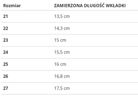 Puma Ferrari Race R-Cat V Inf 306548-02