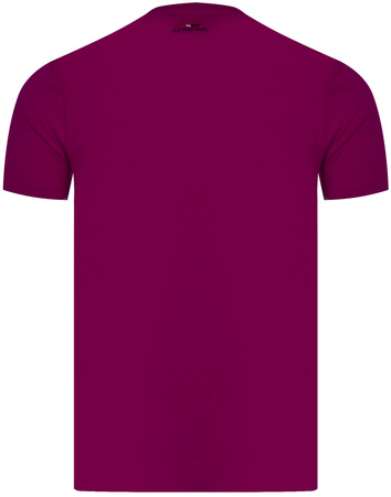 U.S. POLO ASSN. - MEN'S T-SHIRT LUCA 154 67517 50313 375