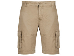 U.S. POLO ASSN. - SHORTS SEAR 143 66361 53065 420